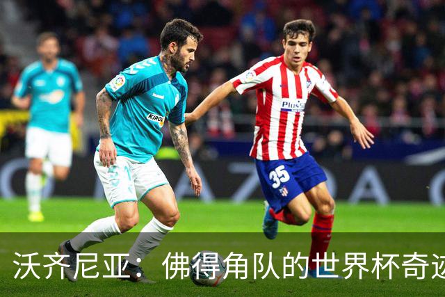 沃齐尼亚：佛得角队的世界杯奇迹属于所有球员，并不仅仅是我